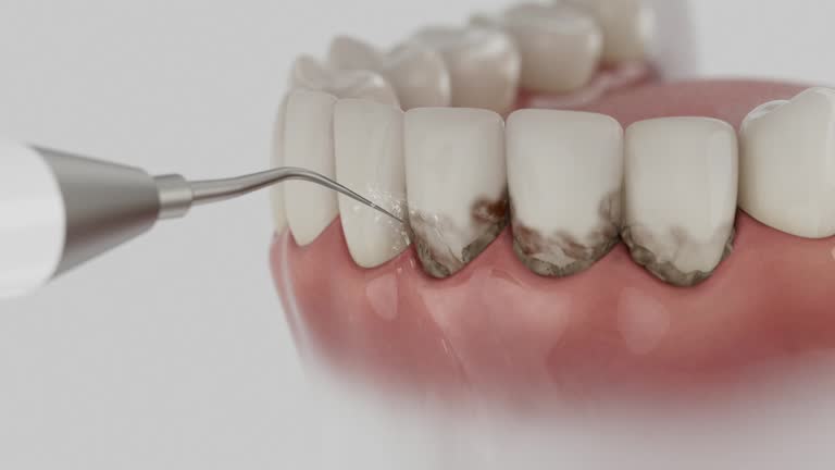 Reliable Dental contractor in Black Forest, CO by Dentist Open Now